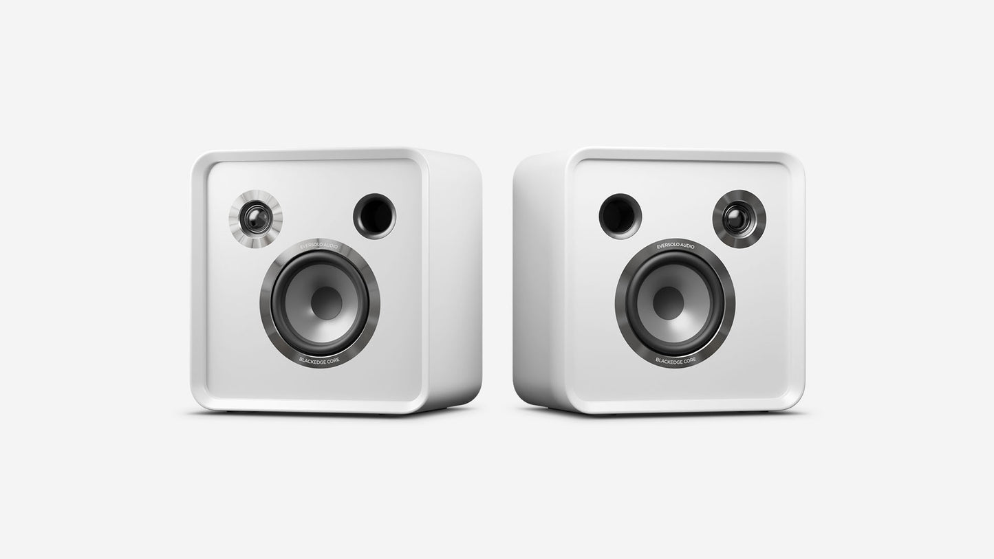 Eversolo SE100 Passive Speakers pair