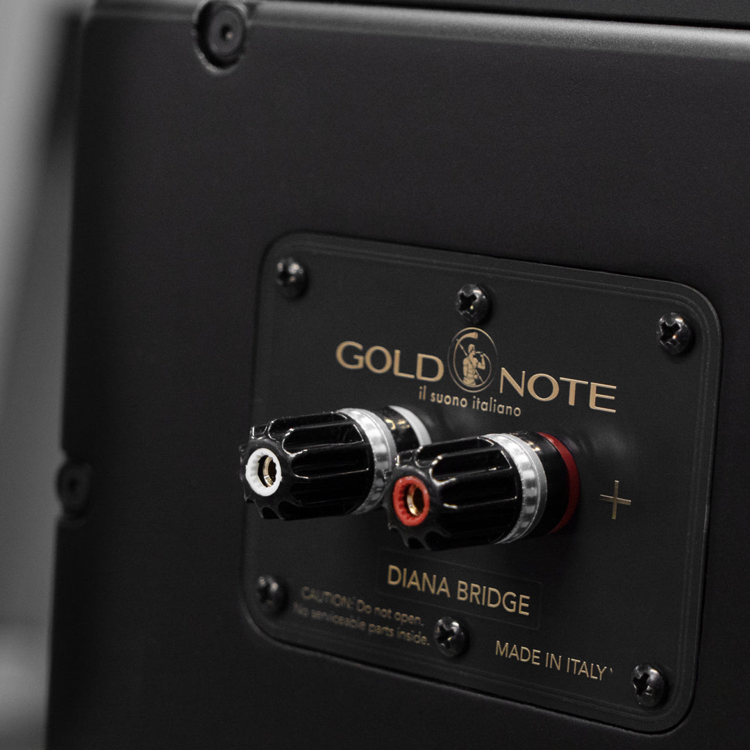 Gold Note - Diana III-F