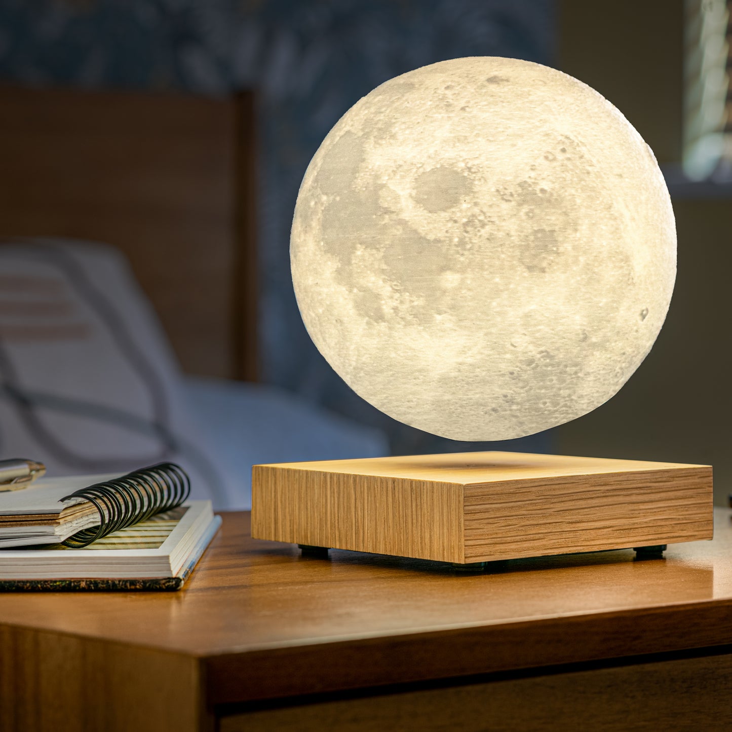 Gingko - Smart Moon Lamp