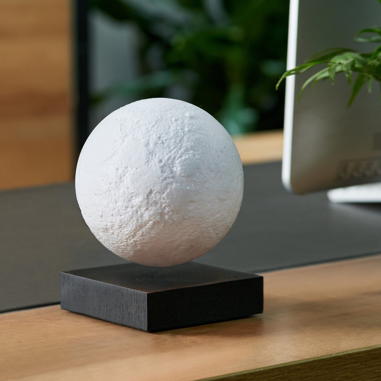 Gingko - Smart Moon Lamp