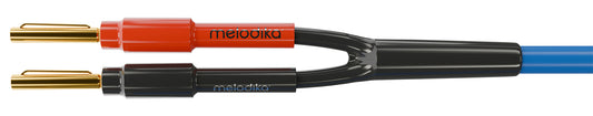 Two banana plug with red and black housing and gold and blue leads, featuring the brand 'Melodika'.
