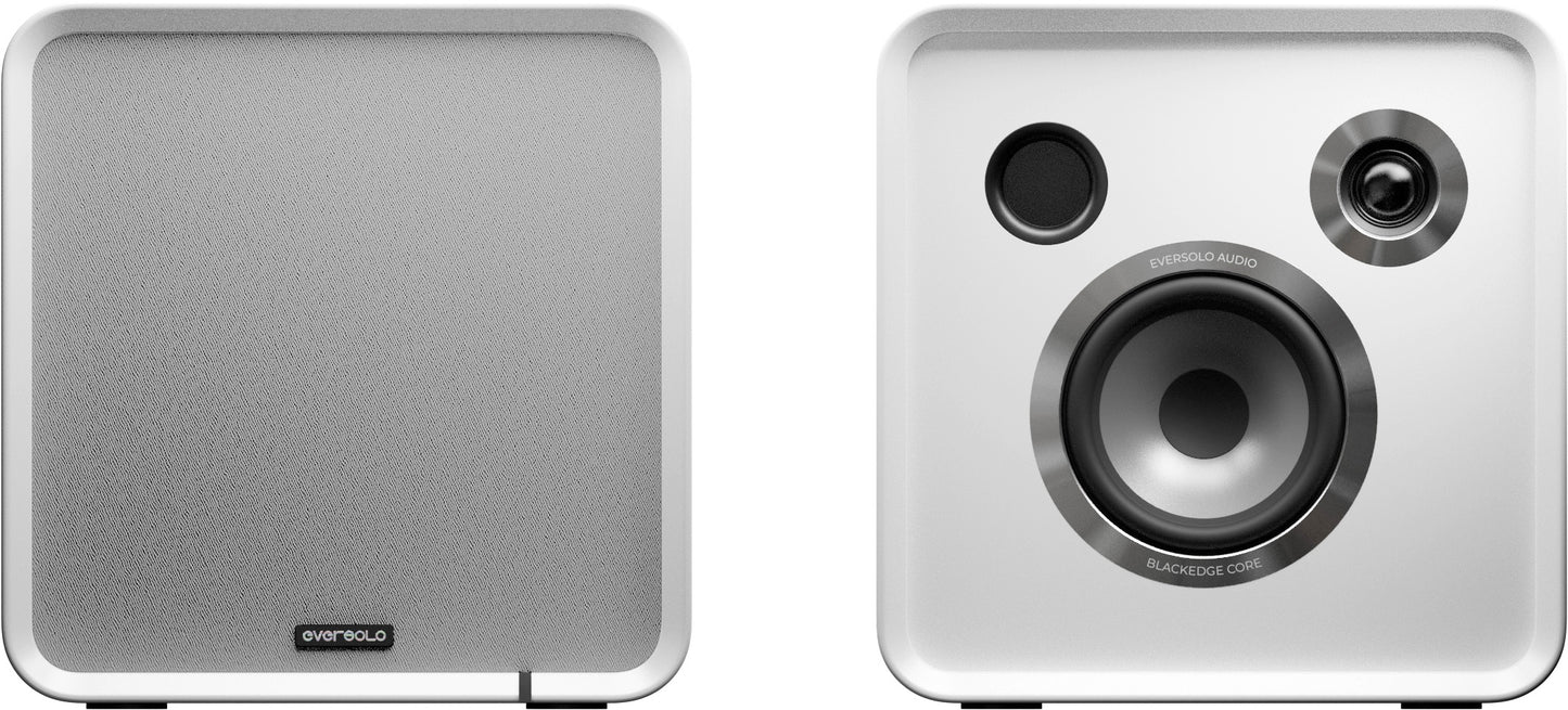 Eversolo SE100 Passive Speakers pair