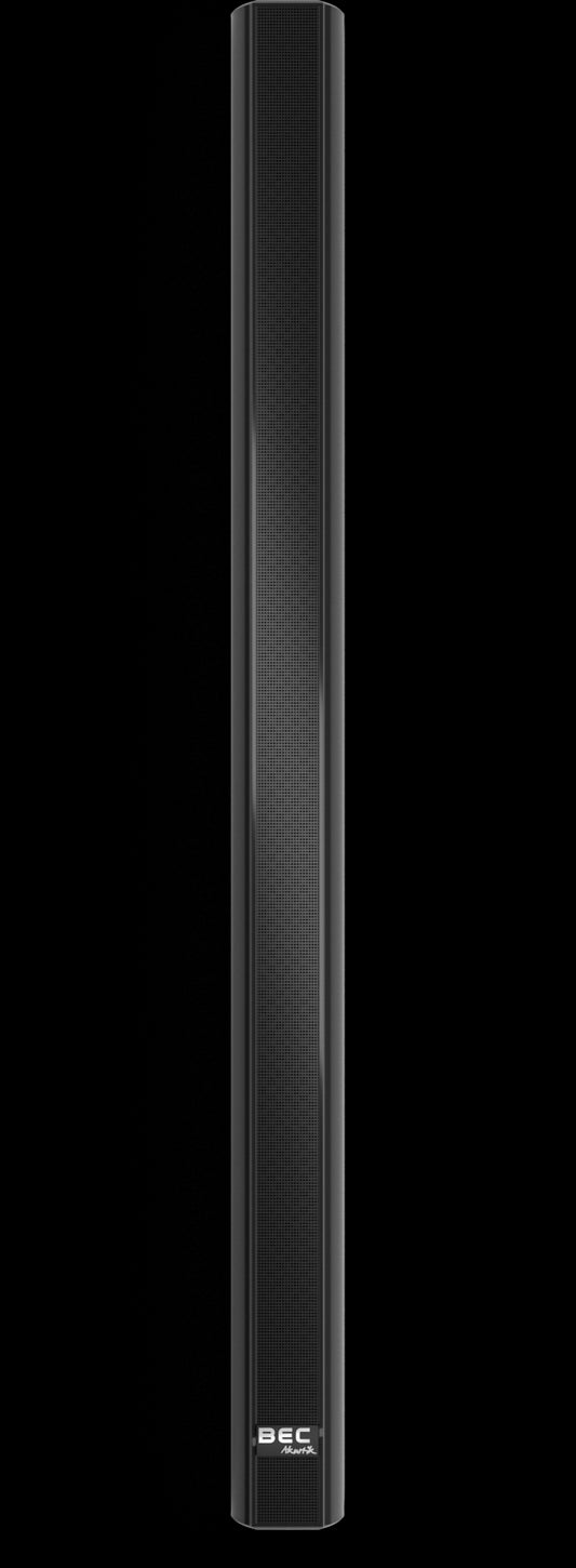 BEC Akustik - Pair of IC-70