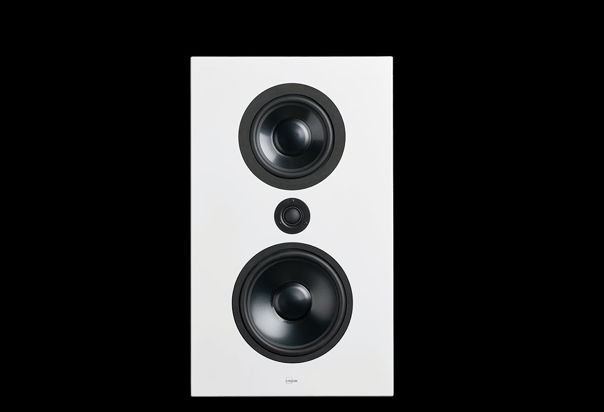 Pack Lyngdorf - TDAI-1120 - FR-1