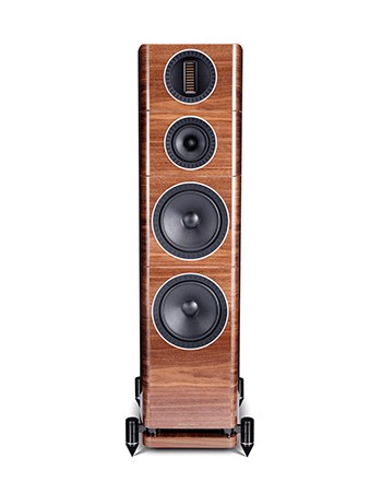 Elysian 4 Walnut