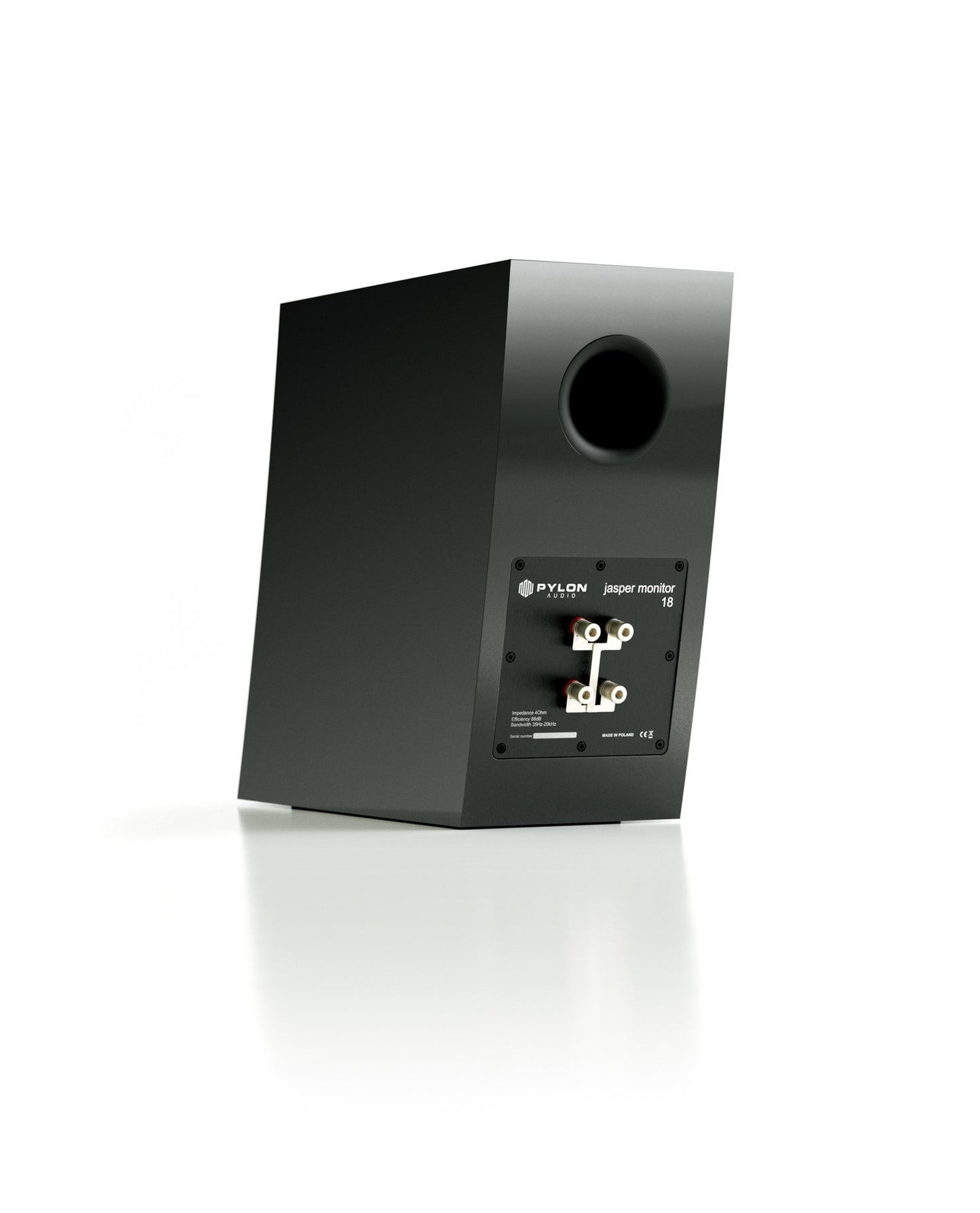 Pylon Jasper 18 Monitor (Pair)