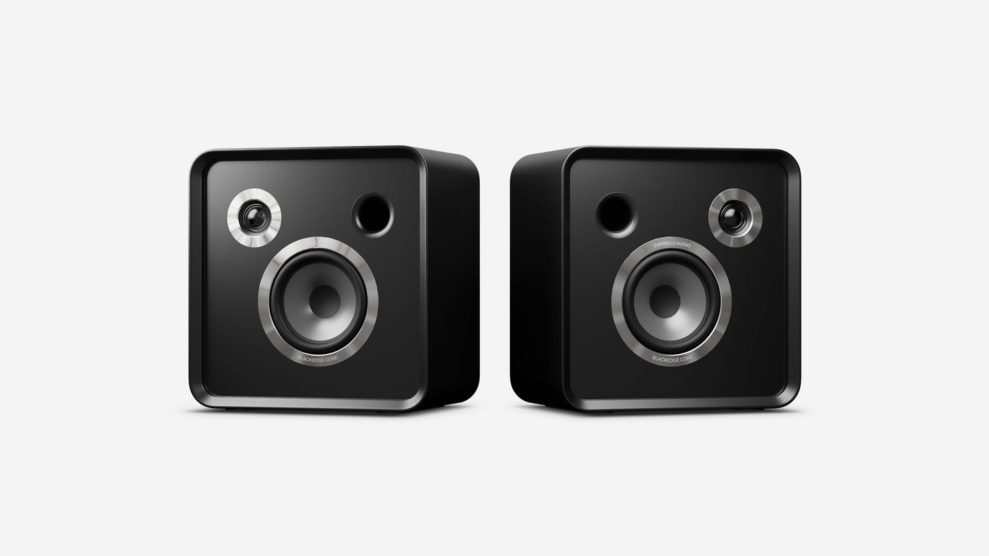 Eversolo S100 Passive Speakers pair