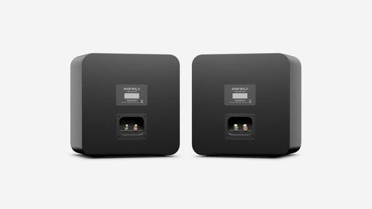 Eversolo S100 Passive Speakers pair