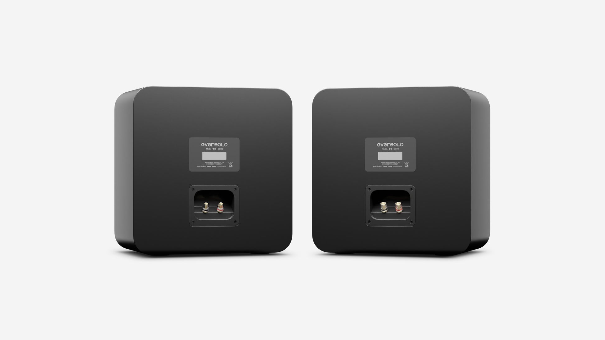 Eversolo S100 Passive Speakers pair