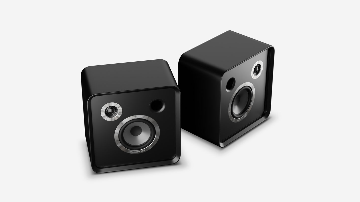 Eversolo S100 Passive Speakers pair