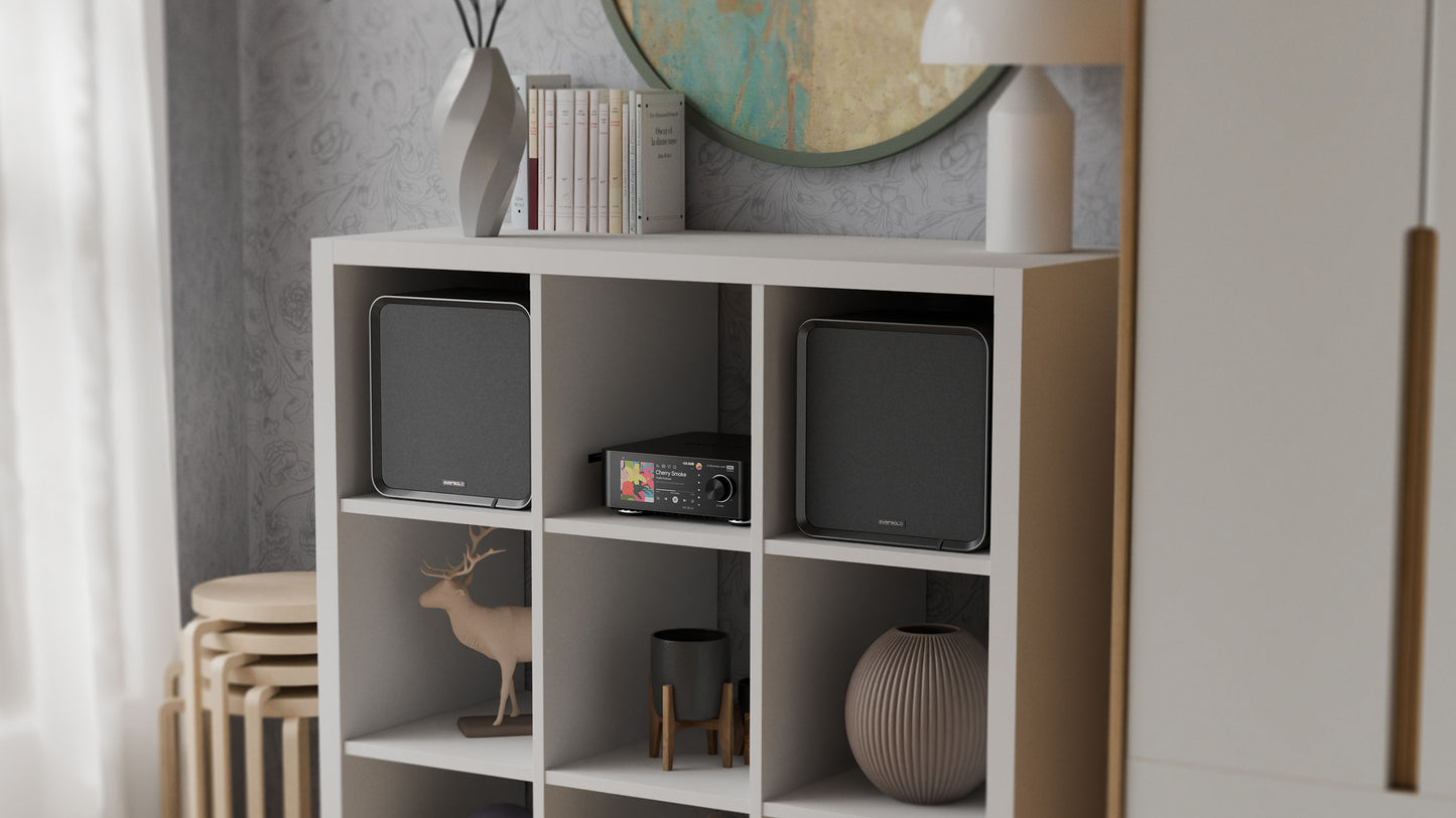 Eversolo S100 Passive Speakers pair