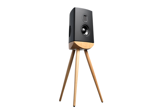 Black speaker on a wooden tripod stand against a white background