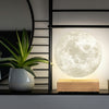 Gingko - Smart Moon Lamp