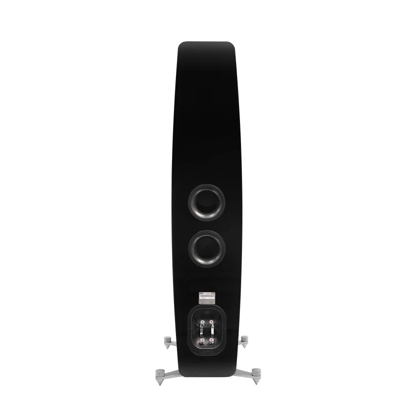 Rear side of the loudspeaker, all black with two vent and dual speaker inputs.