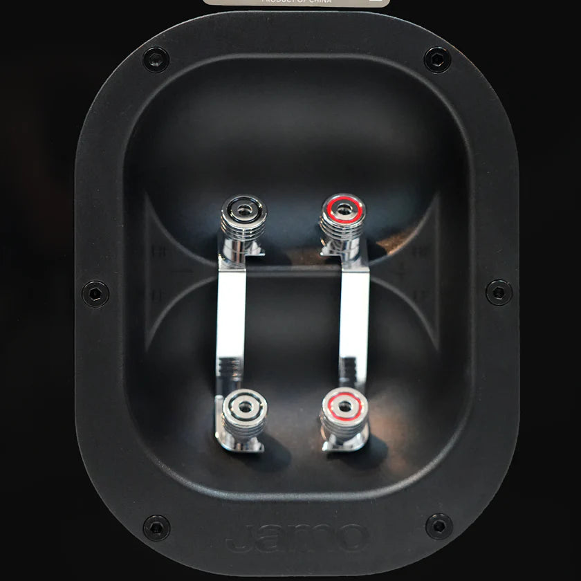 Zoom in the speaker input connectors.