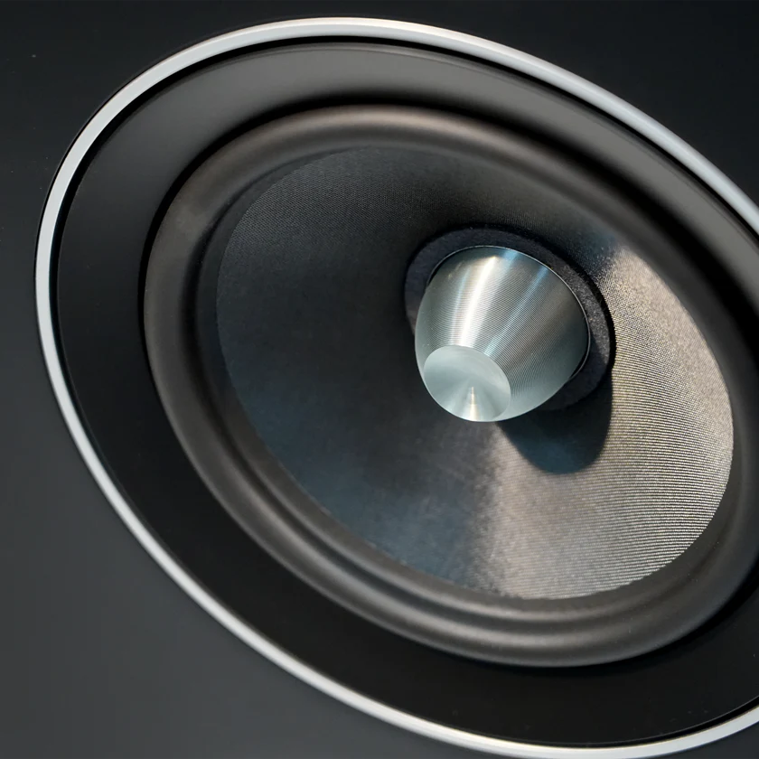 Zoom on one of t he woofers