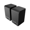 Klipsch - Flexus SURR 100