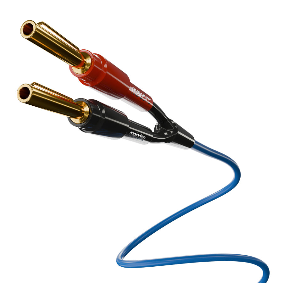Pair of banana plugs with red and black bodies, gold connectors on a blue cable on a white background.
