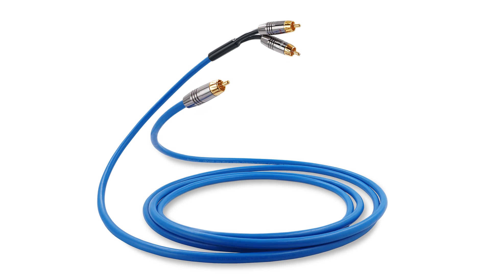 Blue audio cable with gold connectors on a white background. 2 RCA connectors on one end and 1 connector on the other end