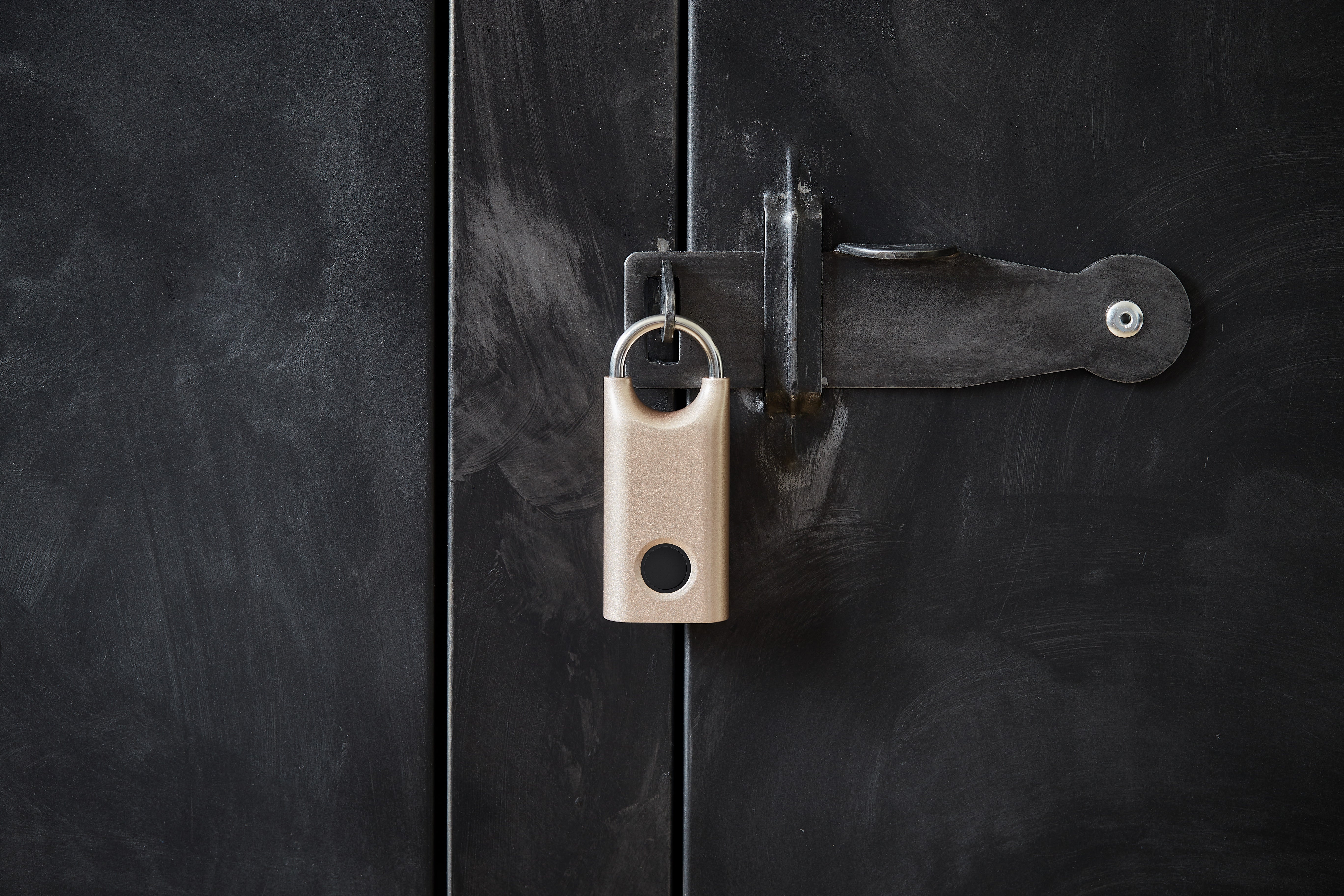 Lexon Nomaday Biometric Fingerprint Lock – ExclusivIT