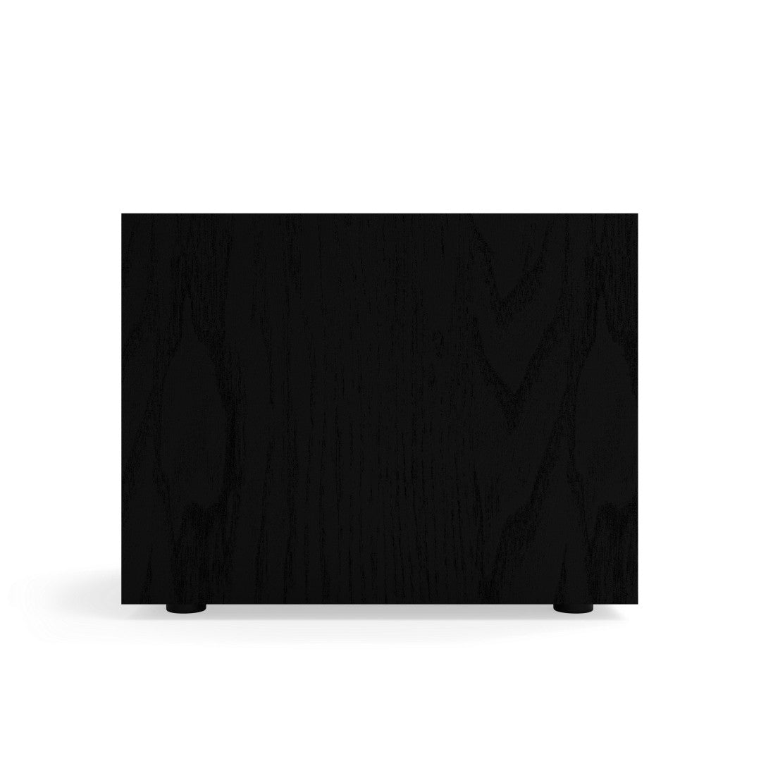 Klipsch R-101SW SUBWOOFER