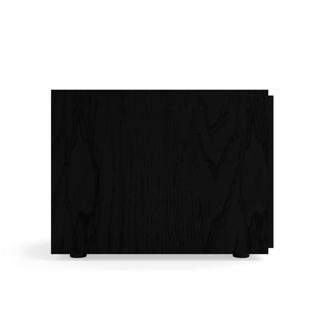 Klipsch R-101SW SUBWOOFER