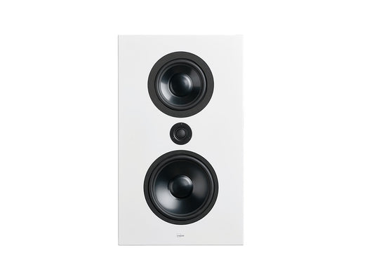 Lyngdorf FR-1 Full Range speaker