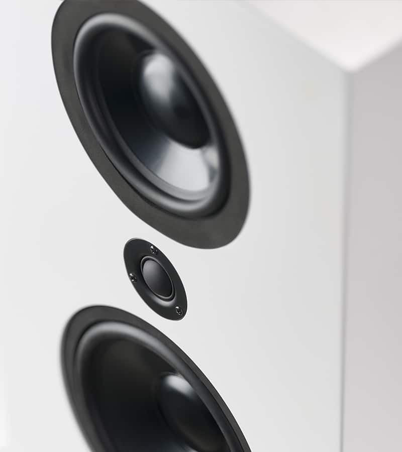 Lyngdorf FR-1 Full Range speaker