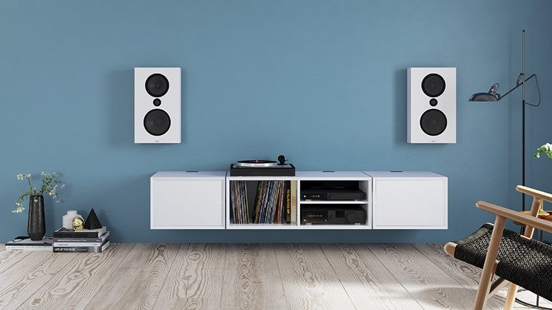 Lyngdorf FR-1 Full Range speaker