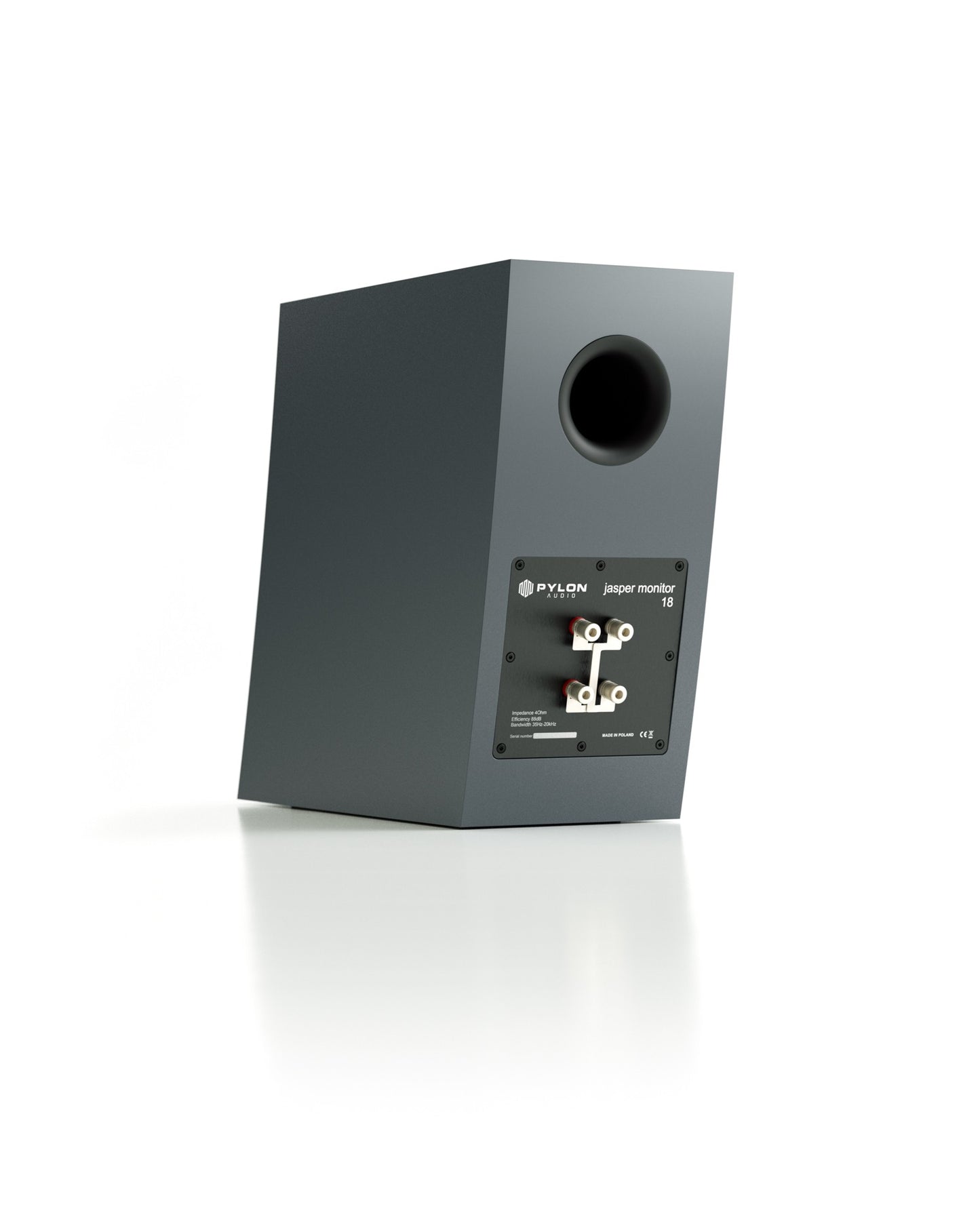 Pylon Jasper 18 Monitor (Pair)