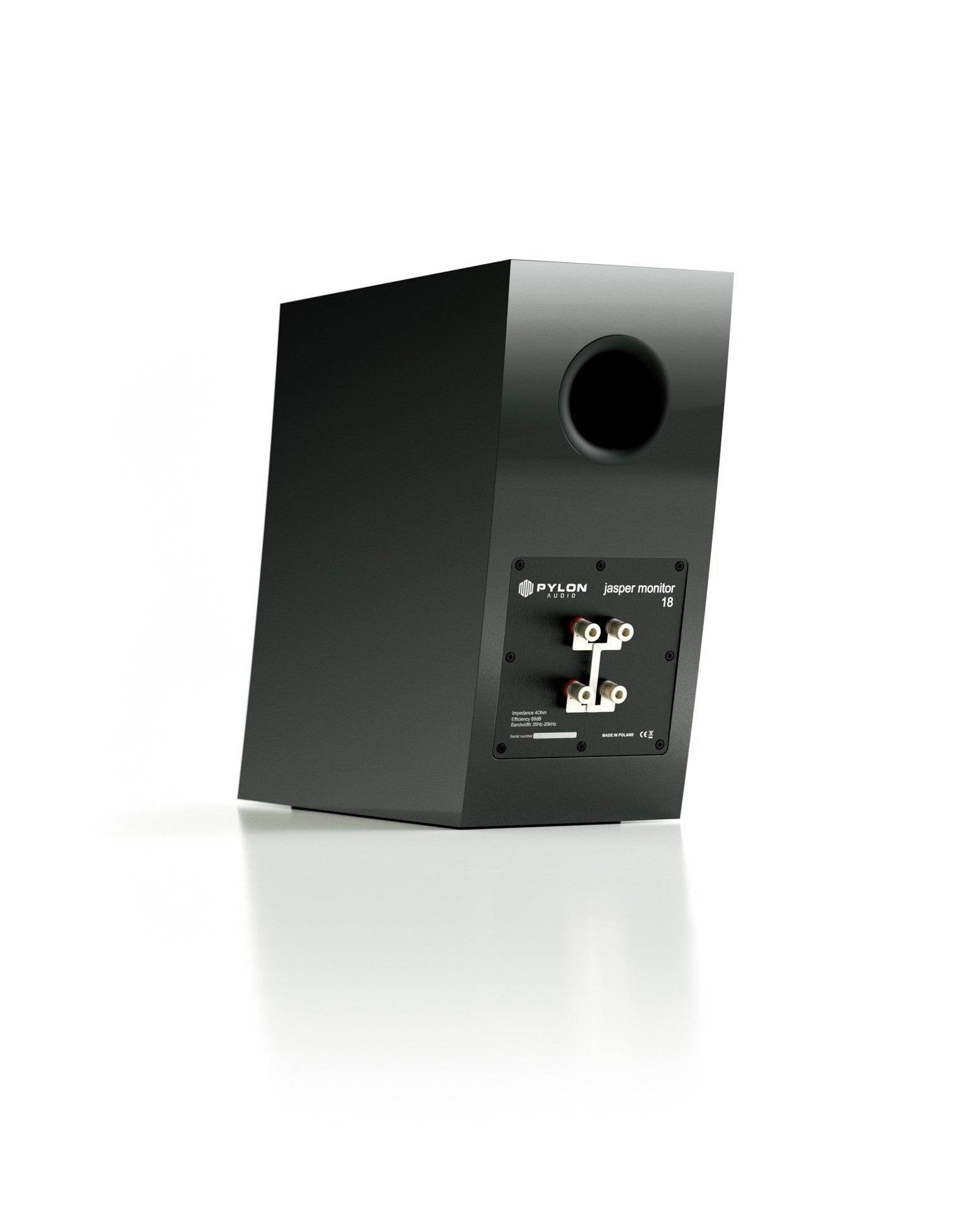 Pylon Jasper 18 Monitor (Pair)